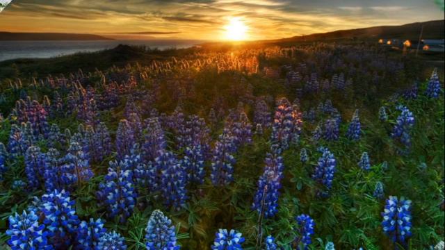 Давайте отдахнем смотреть онлайн