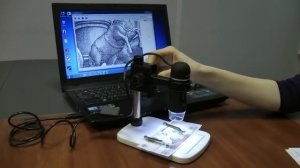 Работа с цифровым USB микроскопом Digimicro Prof
