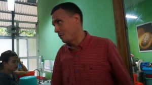 Шоколадное дерево. Как растет шоколад, что такое какао и каковелла.