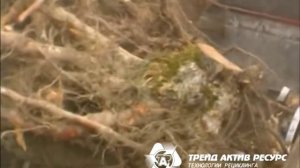 Измельчитель Hammel. Измельчение - древесины, корни, пни.