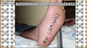 Приколы в Поезде. Красивые Попутчицы