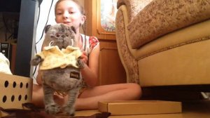 Распаковка КОТА БАСИКА👍👍