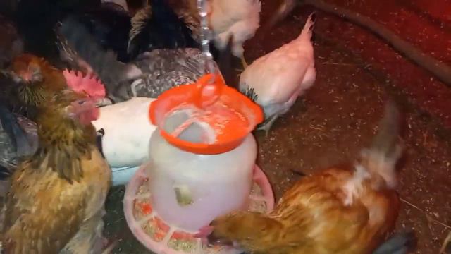 Меры предосторожности следует принимать всегда.(Precautions should always be taken.) смотреть онлайн