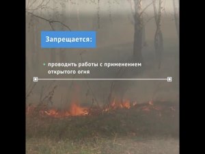 C 24 апреля по 15 мая в Новосибирской области действует особый противопожарный режим.