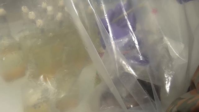 работа в главбоксе (жидкий мицелий ) смотреть онлайн