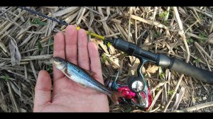 Мормышинг.Нашел рыбное место на сильном течении