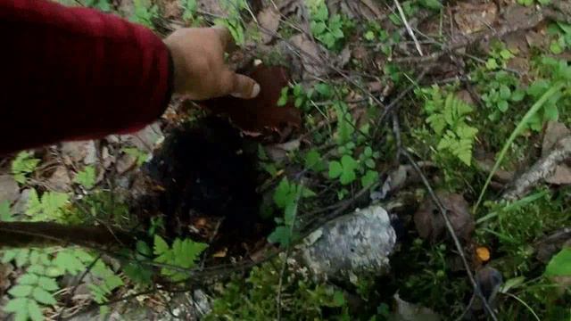 хариус,окунь,щука рыбалка на Лодьме и озёрах Белое малое и большое