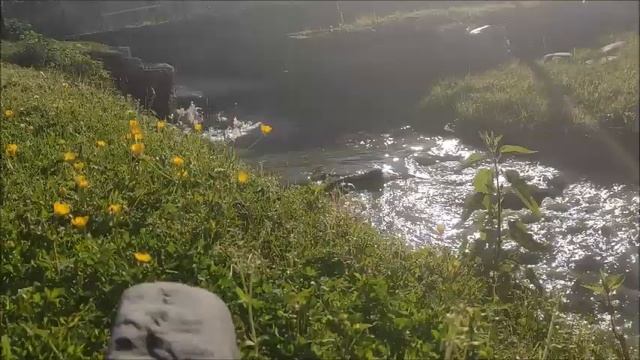 Relax time. Чистый шум реки. Успокаивающие звуки для сна. Звуки природы. Пение птиц