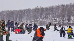 БЕЗУМНАЯ ТОЛПА НЕ ЗНАЕТ ГРАНИЦ! НАГЛОСТИ НЕТ ПРЕДЕЛА! У МЕНЯ ТОЖЕ! Рыбалка в ТОЛПЕ на КАРАСЯ!