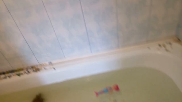 Черепаха и Соня плавают смотреть онлайн