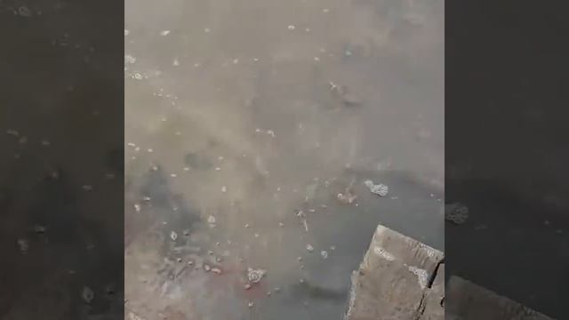 Малиновое озеро. Алтайский край