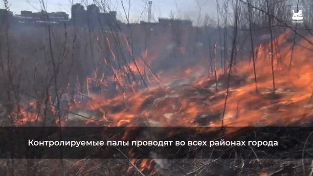 В Иркутске начали контролируемые отжиги сухой растительности смотреть онлайн