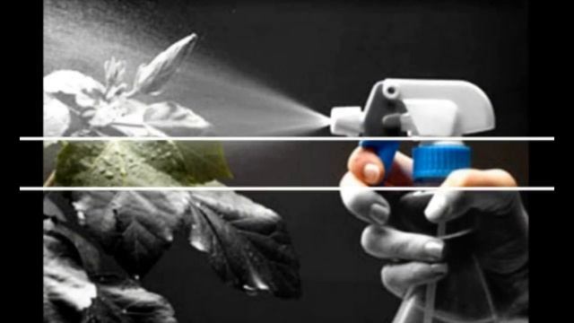 САМЫЕ ПОПУЛЯРНЫЕ ХОББИ ЧЕЛОВЕЧЕСТВА смотреть онлайн