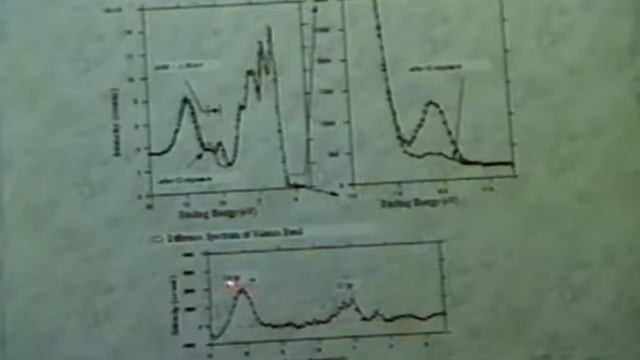 Ken Park: Alkali metals on MoS2 surfaces смотреть онлайн