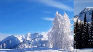 Стелла Джанни "Падает снег" Загружено в YOU TUBE С С Неживым из личных записей