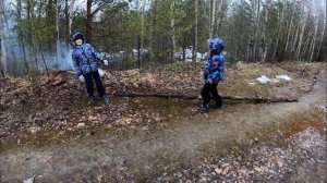 как я заготавливаю брусничный лист