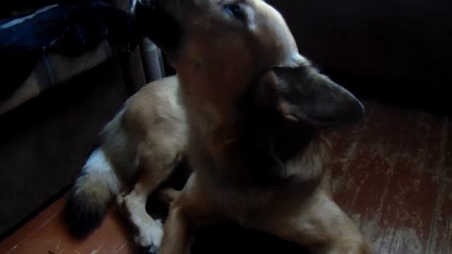 Песня Ральфа под саксофон смотреть онлайн