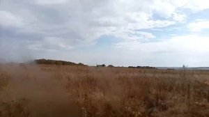 На перегонки с лосем. С какой скоростью бежит лось?!
