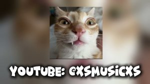 daryana - я тоже speed up