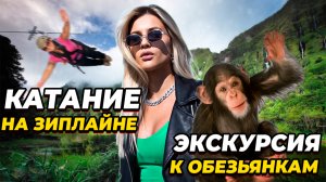 Экскурсия к обезьянкам