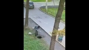 Ребенок провалился в канализационный люк, гуляя с мамой по улице