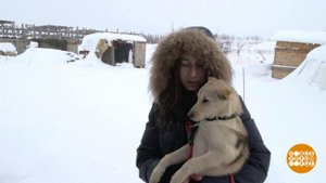 Спасите зверей! Доброе утро. Суббота. Фрагмент выпуска от 13.03.2021