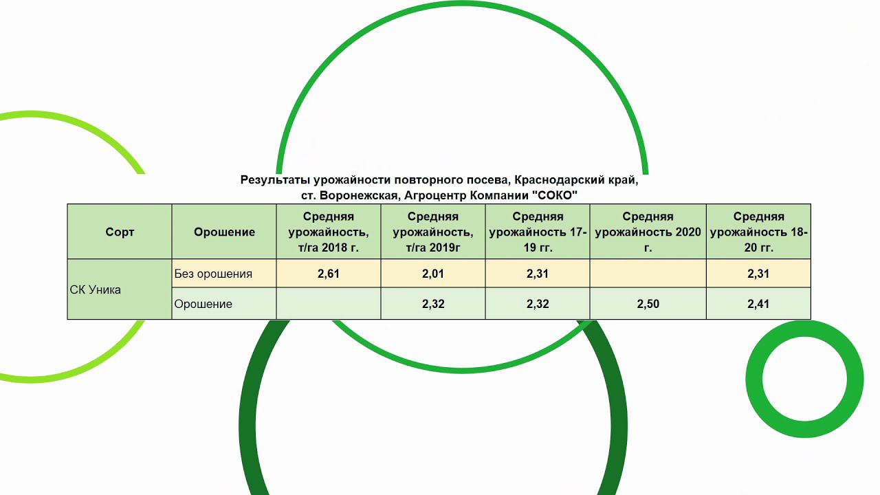 Повторный посев 2020, сорт сои СК Уника