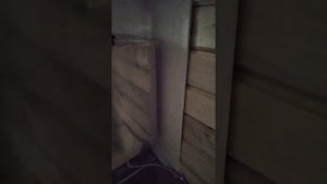 обзор бани 6*4 из бруса
