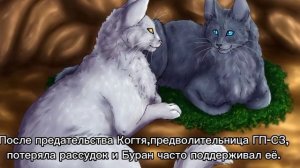 История Бурана/Коты-воители