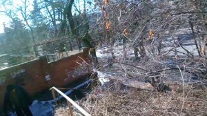 Кисловодск. Прогулка по ул. К. Цеткин. 1.02.2022 г.