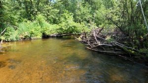 Снова новая река! Ловля хариуса в небольшой речке. Крупный хариус есть!