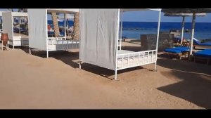 Обзор Альбатрос Цитадель