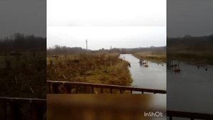 Ловля певчих птиц на новом месте. Щеглы. 05.11.2019. Белобородый на последней минуте ))