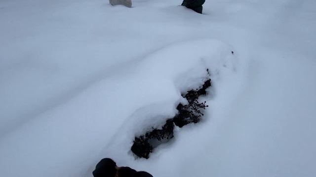 Что можно делать на даче зимой? Архив 18 декабря 2023. смотреть онлайн