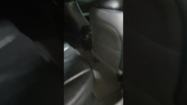 15 августа 2019 г. смотреть онлайн