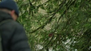 SONY FX30 - Sigma 16mm 1.4 - SIGMA 30MM 1.4 - Sigma 56mm 1.4 - CINEMATIC VIDEO - Sony Lenses