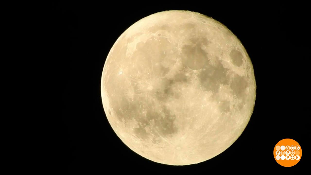 Луна запускает флешмоб! Доброе утро. Фрагмент выпуска от 31.08.2023