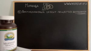 Моринда НСП лимонолистная - свойства применение польза