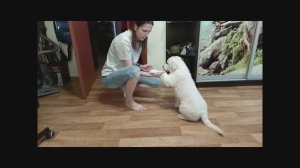 Работа в 3 месяца