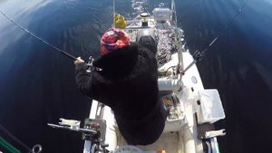 ЛЕГКО #2016_05_08 | Карелия | Онега | Рыбалка | Троллинг