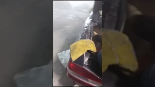 VID-20240220-WA0048.mp4