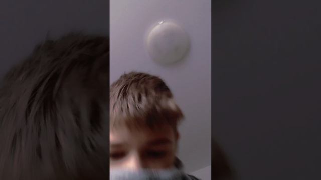 ВПЕРЁД СОБАКИ!!! (дичь) смотреть онлайн