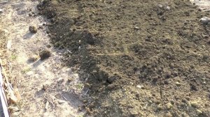Мой эксперимент по улучшению плодородия земли на даче при помощи торфа и золы.