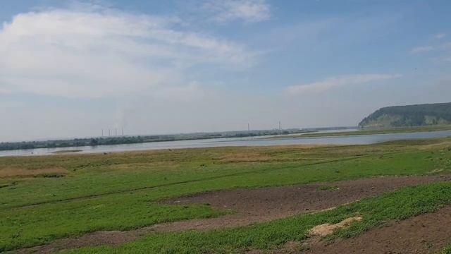 Отъем молодых баранов ? смотреть онлайн