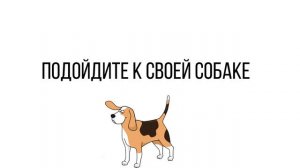 только собаки могут услышать этот звук