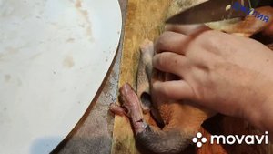 Цесарка. Делимся  впечатлением.