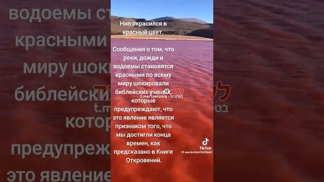 Река Нил, окрасилась в красный цвет, как во дни выхода Евреев из Египта, когда Бог судил богов Егип