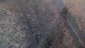 Мотоблок на гусеницах Попробовал проехать