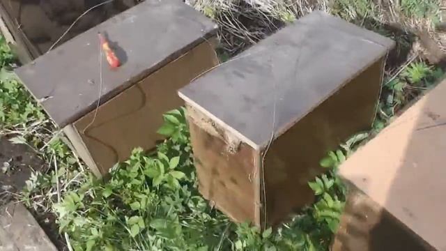 Ловушка для ловли пчелиных роев из ЛДСП смотреть онлайн