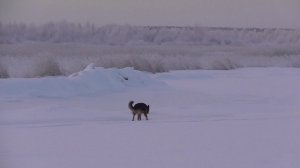 Сказочная Зима (2019)